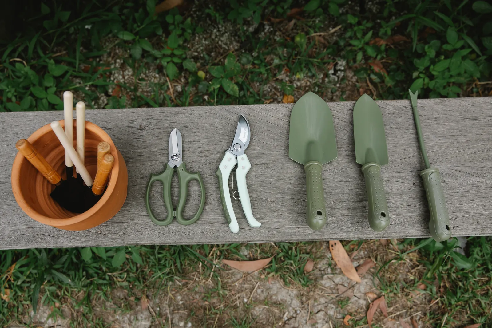 Sécateurs, ciseaux et petits outils de jardin alignés sur un banc en bois